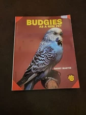 Budgies As a New Pet