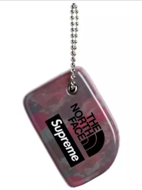 *AUTHENTIQUE* Supreme x The North Face porte clés flottant multicolore   ss20