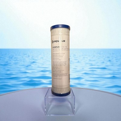 Pentair CBC-10 Carbon Water Filter, 10-Inch, Under Sink Carbon Block Replacement