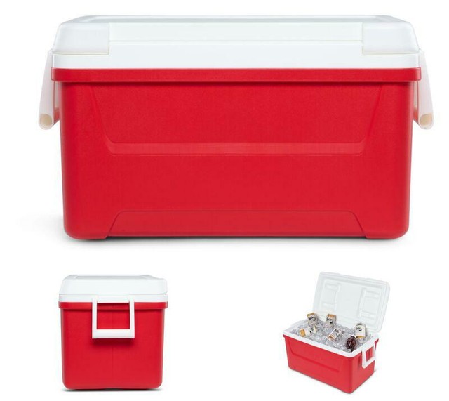 igloo 45 qt cooler