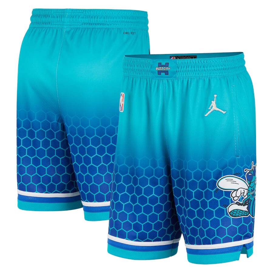 Charlotte Hornets Nike Jordan 2022 City Edition Swingman