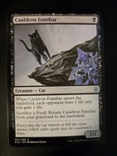 Cauldron Familiar NM Throne of Eldraine MTG FREE SHIPPING