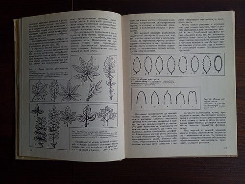 1987 Soviet Book Textbook Floriculture ЦВЕТОВОДСТВО Практикум В.А. Бунин - Picture 7 of 20
