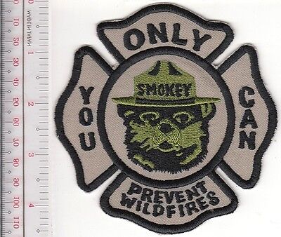 Smokey the Bear US Forest Service USFS South Carolina Forestry ''Only You Can Pr 
