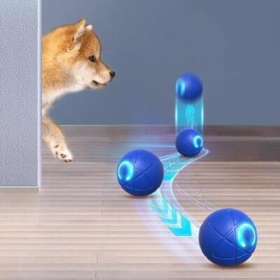 2024 New Bite Resistant Teasing Dog Ball Smart Automatic Rolling Ball Toys