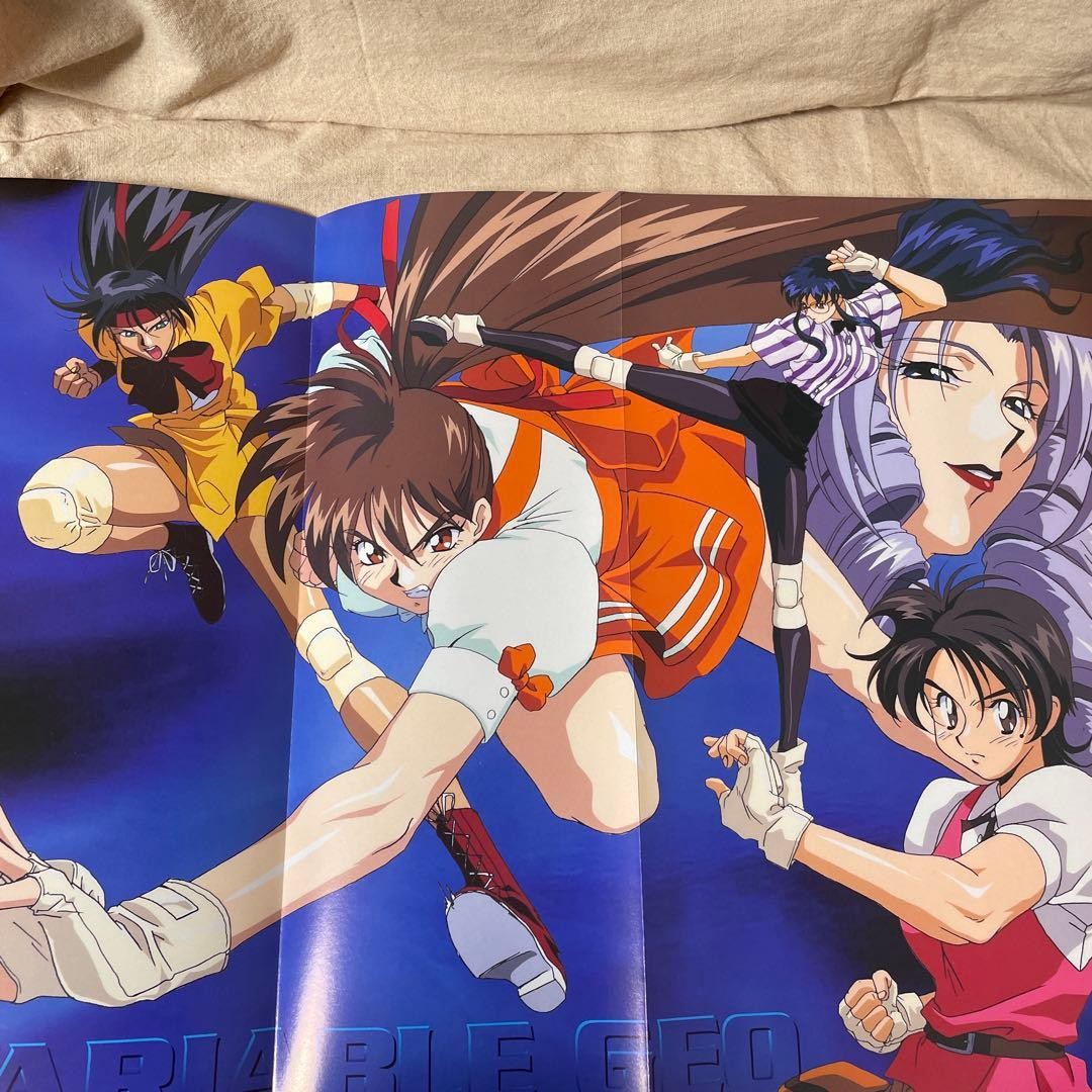 ヴァリアブル・ジオcomplete visual collection Variable Geo Complete Visual Collection with obi | eBay