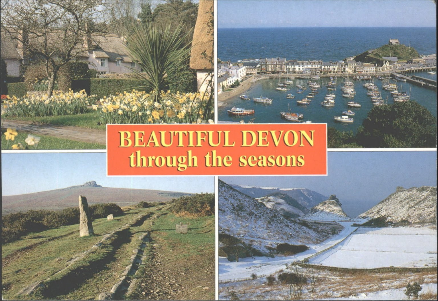 Beautiful Devon Through The Seasons Postcard - Cockington Ilfracombe Dartmoor