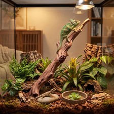 Reptile Climbing Branch Decor Lifelike Resin Reptiles Terrarium Tre CLDS