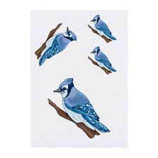 4 x 'Blue Jay' Temporary Tattoos / Transfers TO00007715 