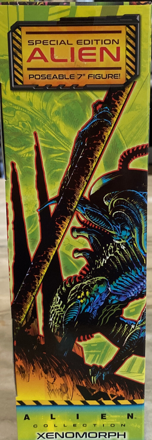 Picture 5 of 6