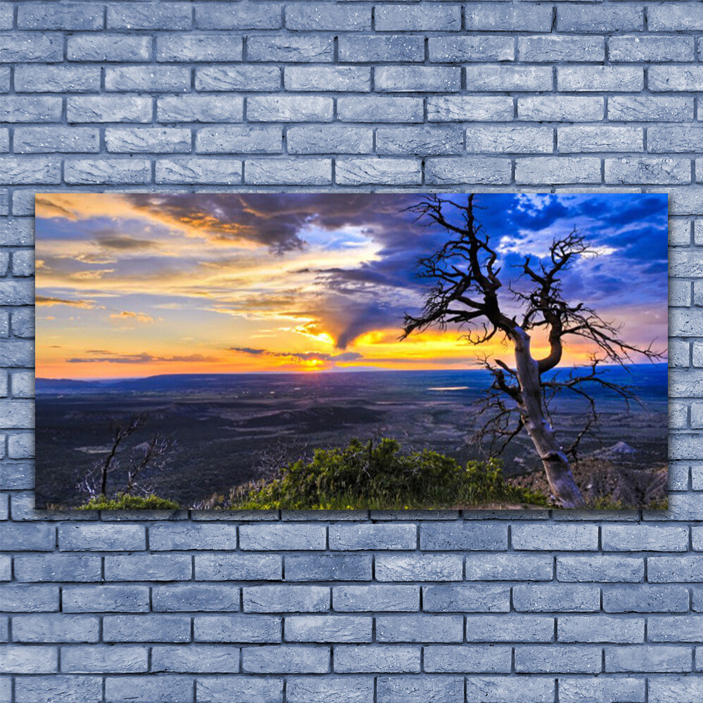 Tableau plexiglas paysage arbre 140x70 cm impression luxe effet verre