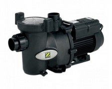 Poolpumpe Zodiac FloPro 150M 1,5 CV Schwimmbad Filterpumpe Umwälzpumpe Poolpumpe