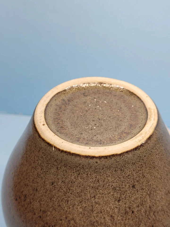 Jarrón de cerámica verde y blanco para cactus Foto 4 de 4