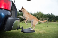 Twistep Pet Step Dog Ramp for SUV's by Heininger Item 3052