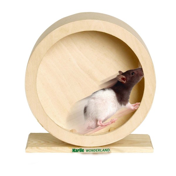 Karlie Bogie Wheel Holz Laufrad 20Cm Holzlaufrad Hamster MäUse Ratten Nager Rad-image