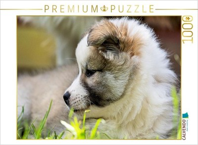 CALVENDO Puzzle Portrait einer kleinen Schönheit | 1000 Teile Lege-Größe 64x48cm
