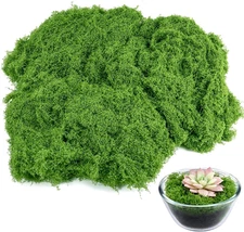 Draupnir Fake Green Moss for Potted Plants, 5.3OZ Moss Decor Artificial Faux Mos