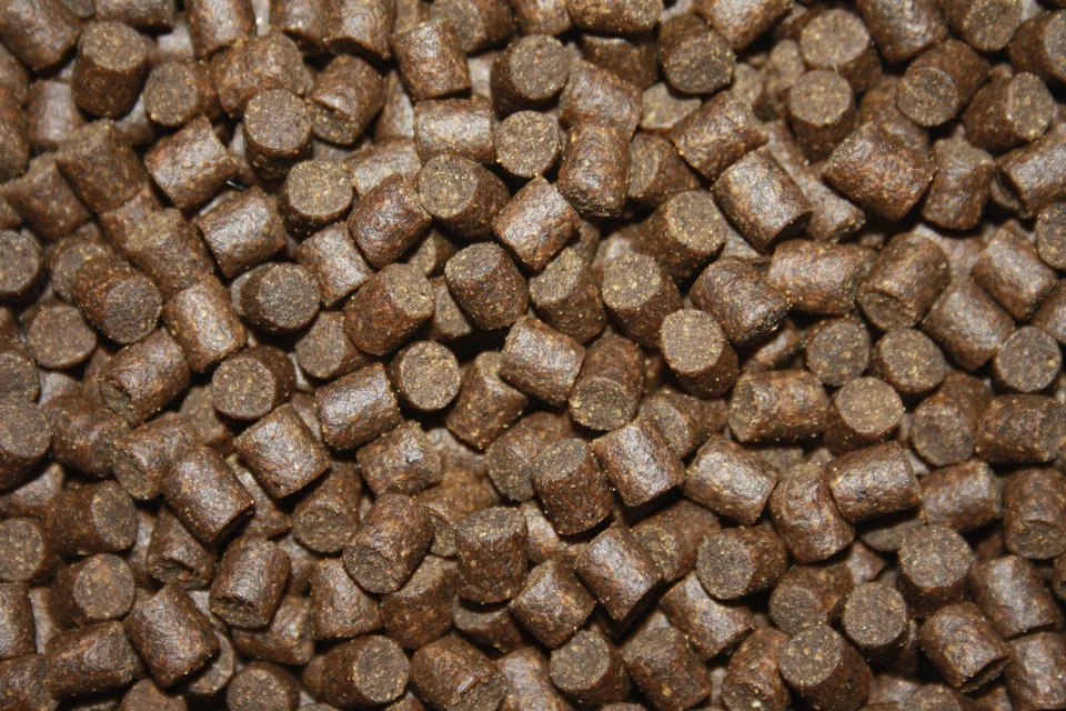 Koifutter Winterfutter Koi sinkend energiereich arktisch DeepWinter 5mm 5kgEimer - Bild 4 von 4