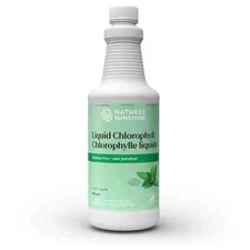 Nature's Sunshine Liquid Chlorophyll 16 fl oz Immunity Detox & Clean Exp 08/2026
