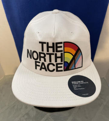 The North Face Plaskett Pride Graphic Logo Shallow Fit  display picture 1