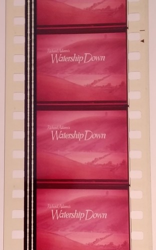 35mm Feature Film – Watership Down 1978
