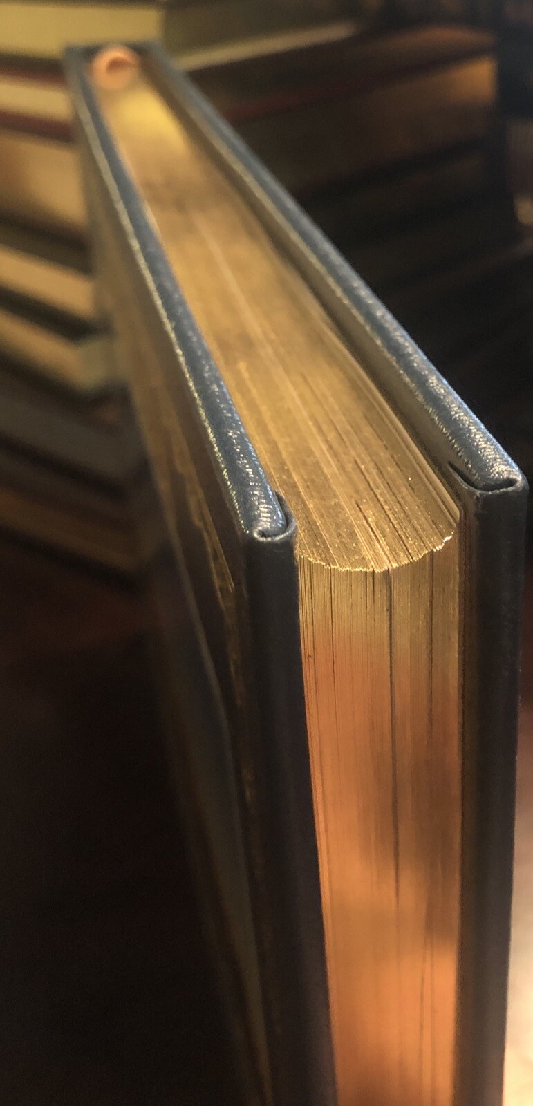 Picture 6 of 6