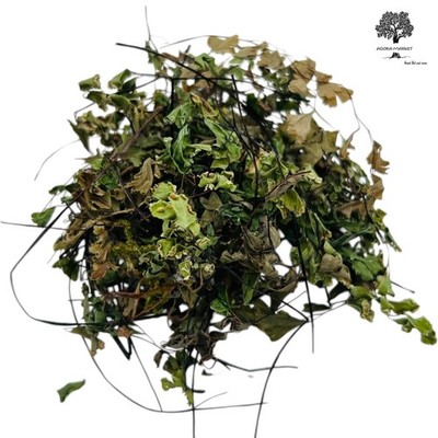 Getrocknete Jungfernhaarfarn Blätter 40g - 1,95Kg Adiantum capillus-veneris