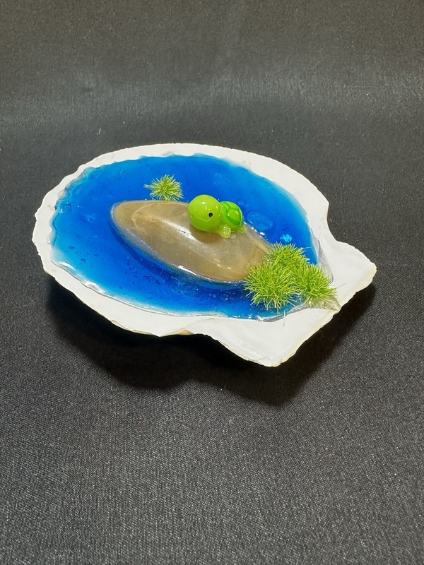 Handmade Resin Art/Home Decor. Turtle In Seashell. New!