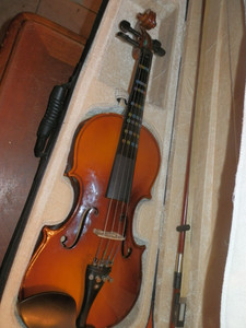 Cecilio Violin Cvn 300 | eBay