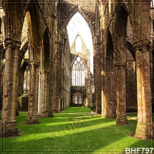 10'x10'Cityscape Computer-painted Vinyl Scenic Photo Background Backdrop BHF797