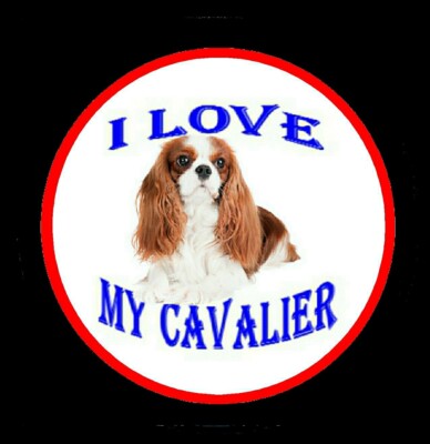 CAVALIER KING CHARLES - Pin Back Button or Fridge Magnet 2 ¼'' Ø