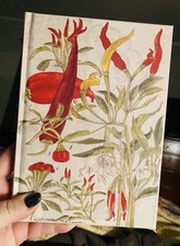 Chili Peppers  Shiso Leaves Blank Hardcover Journal : Blank Notebook With...