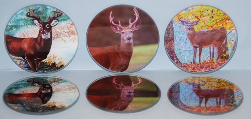 #70510 Set Sottobicchieri in Vetro Scena Cervo Rotondo 6pz per Prodotti Country Side - Foto 1 di 10