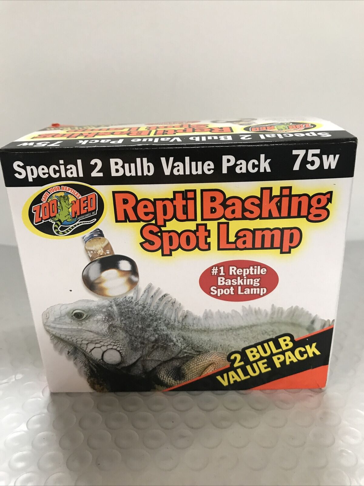reptile basking