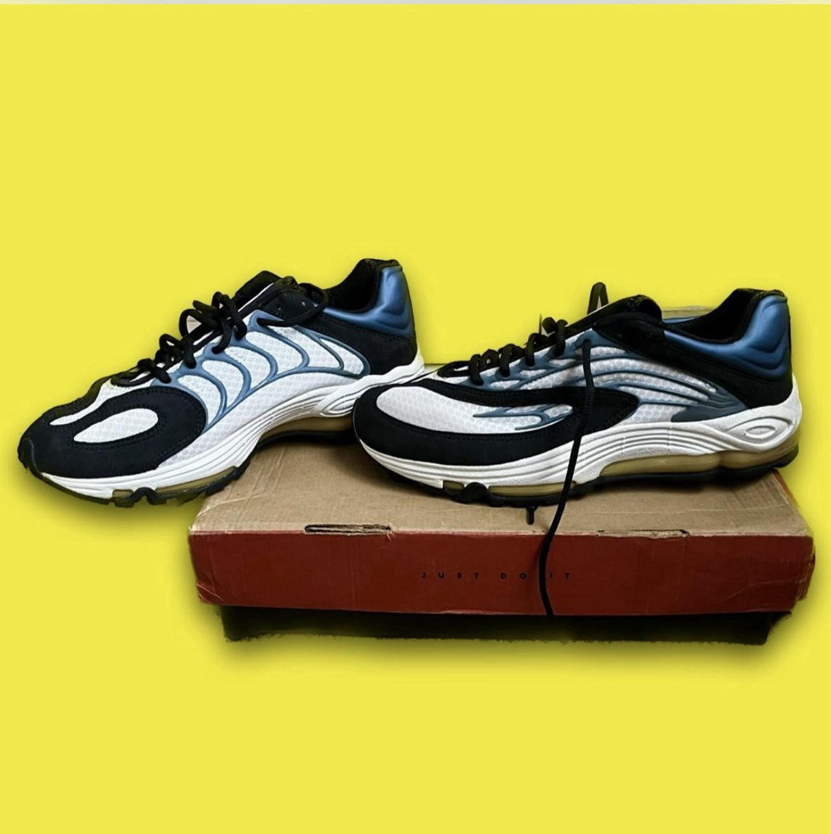 1999 Nike air tuned max tn