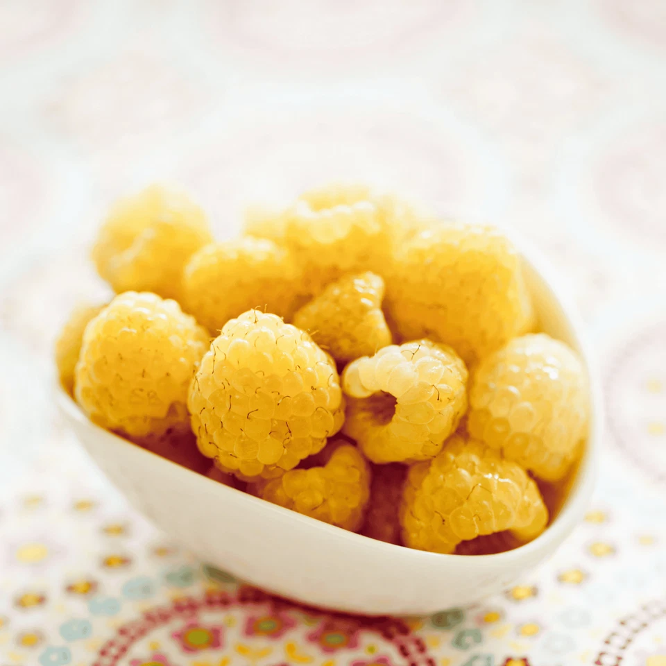 Hand Picked Nursery Anne Raspberry Canes – Bare Root Canes, 1-Year-Old - Image 4 of 4