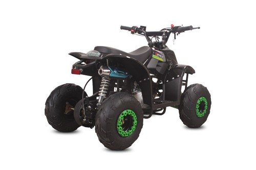 Quad ATV Kinderquad Miniquad 110cc Buffalo 1G6 Pocketbike Pocketquad - Bild 28 von 48