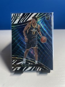 Basketball Zebra | eBay