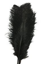 CENFRY 10pcs Ostrich Feathers 10-12inch Plumes for Wedding Centerpieces black