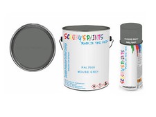 paint for plastic RAL7005 Mouse grey Window Door PVC UPVC Wood Gloss Tin Spray