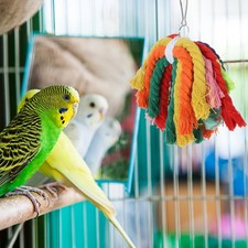 Pet Parrot Chew Toy Colorful Cotton Rope Bite Toys for Bird Parakeet