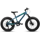 V20235 20 Inch Fat Tire Bike 7 Speed Mountain Bike, Dual Disc Brakes, High Carbo