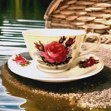  MINT CONDITION WALES  TEA CUP AND SAUCER HAND PAINTED 1956 Bone China  Japan