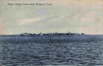 A View Of George Tilyou's Steeple Chase Island, Bridgeport, Connecticut CT 1907