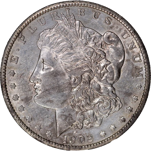 1902-S $1 Morgan Silver Dollar ~ AU Details