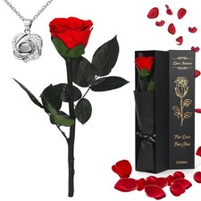 Ledoira Preserved Real Rose Forever Flowers with Heart I Red With Necklace 