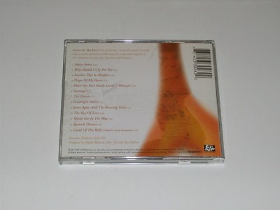 Guitar By The Fire - The John Tesh Project - CD | eBay