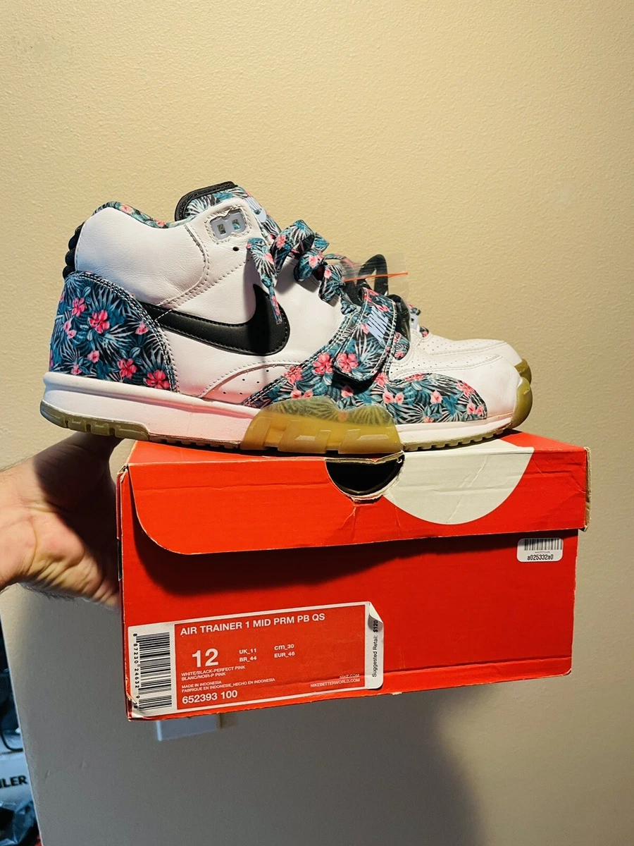 nike air trainer Sb pro bowl size 12 Cactus Jack Travis Scott