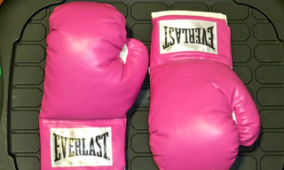 Everlast Boxing Gloves 12oz Lightly used. Very Good condition. No Reserve