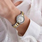 EBEL Beluga Gold Watch stainless steel and 18K 3N yellow gold case 40 Diamonds